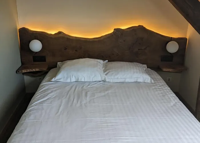 Otel Le Chasseur 2*